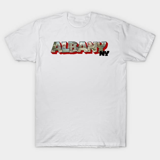 Albany New York Big Letter T-Shirt by ButterflyInTheAttic